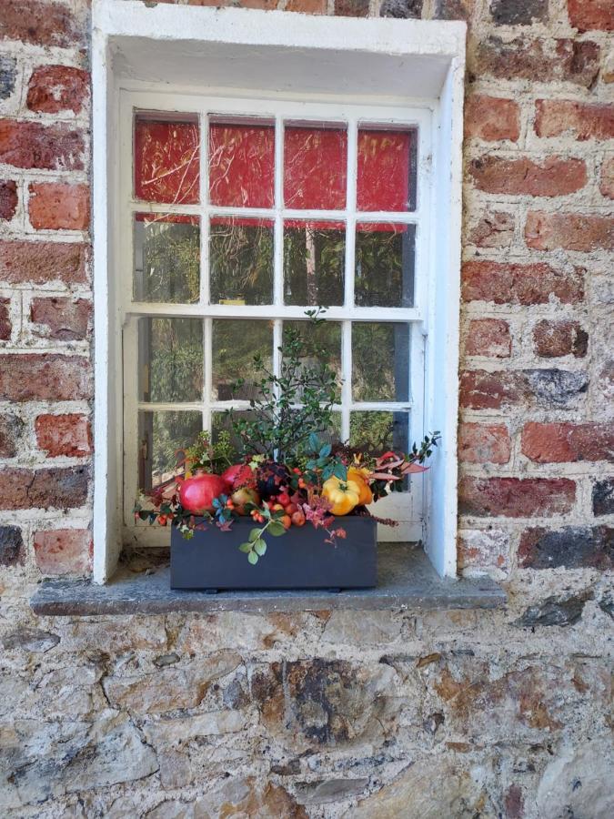 Lynam Cottage Ashford Buitenkant foto